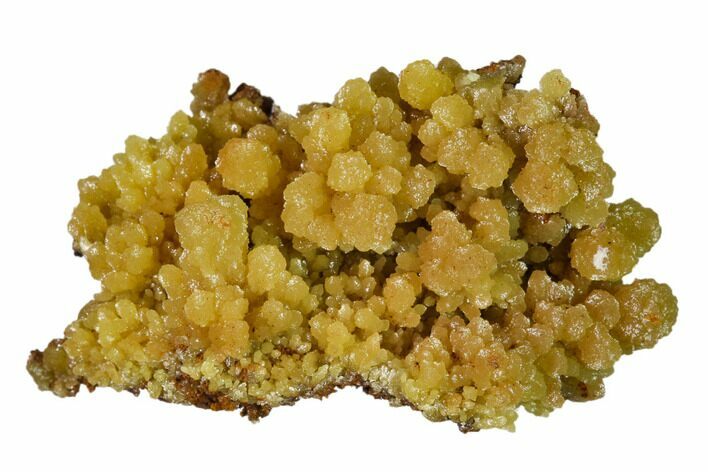 Mimetite Crystal Clusters on Limonitic Matrix - Mexico #157105